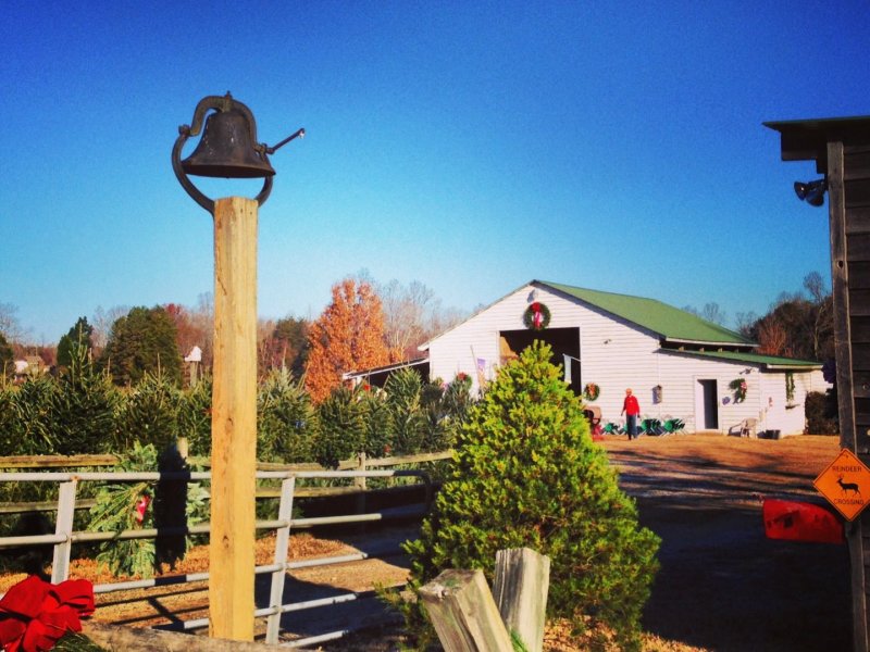 Cedar Lake Tree Farm